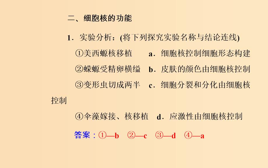 2018秋高中生物 第三章 细胞的基本结构 第3节 细胞核——系统的控制中心课件 新人教版必修1.ppt_第4页