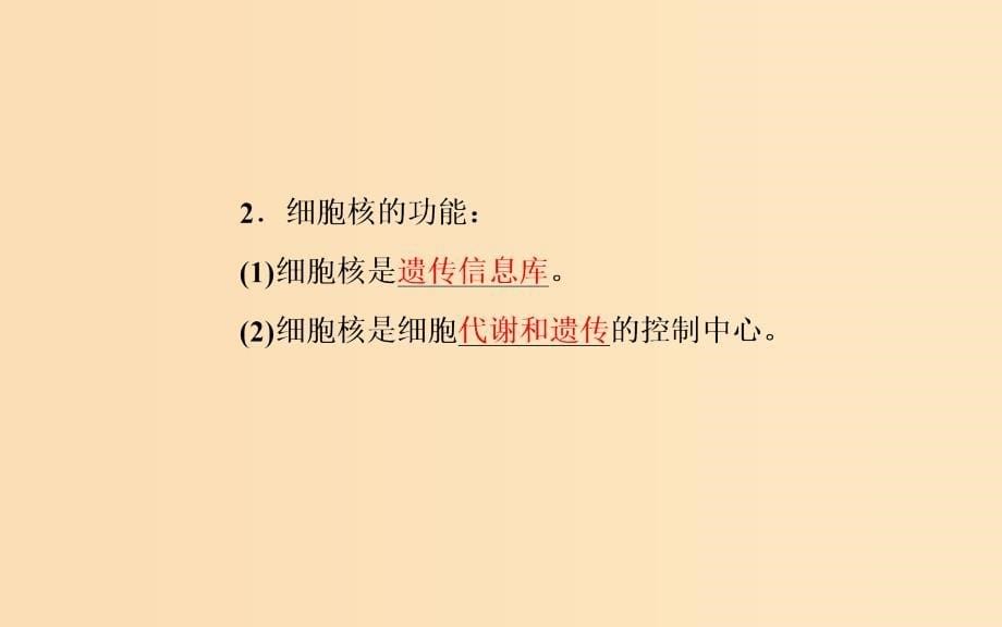 2018秋高中生物 第三章 细胞的基本结构 第3节 细胞核——系统的控制中心课件 新人教版必修1.ppt_第5页