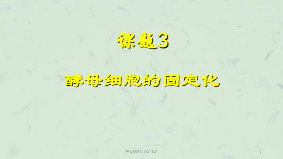 酵母细胞的固定化定课件_第1页