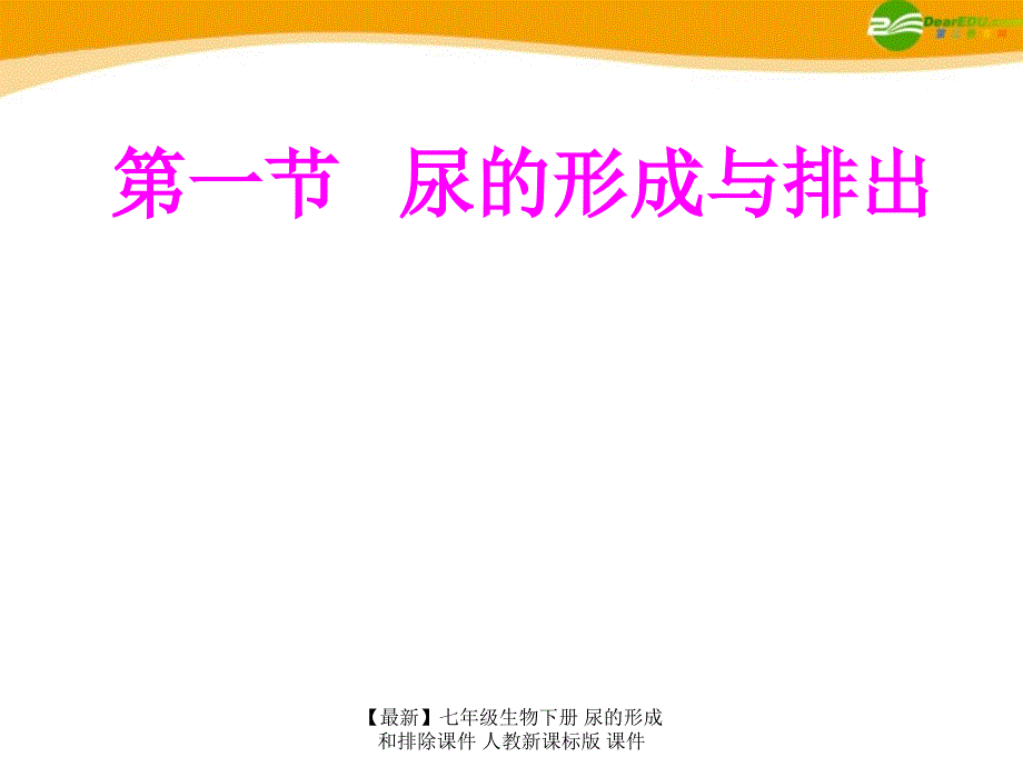 最新七年级生物下册尿的形成和排除课件人教新课标版课件_第3页