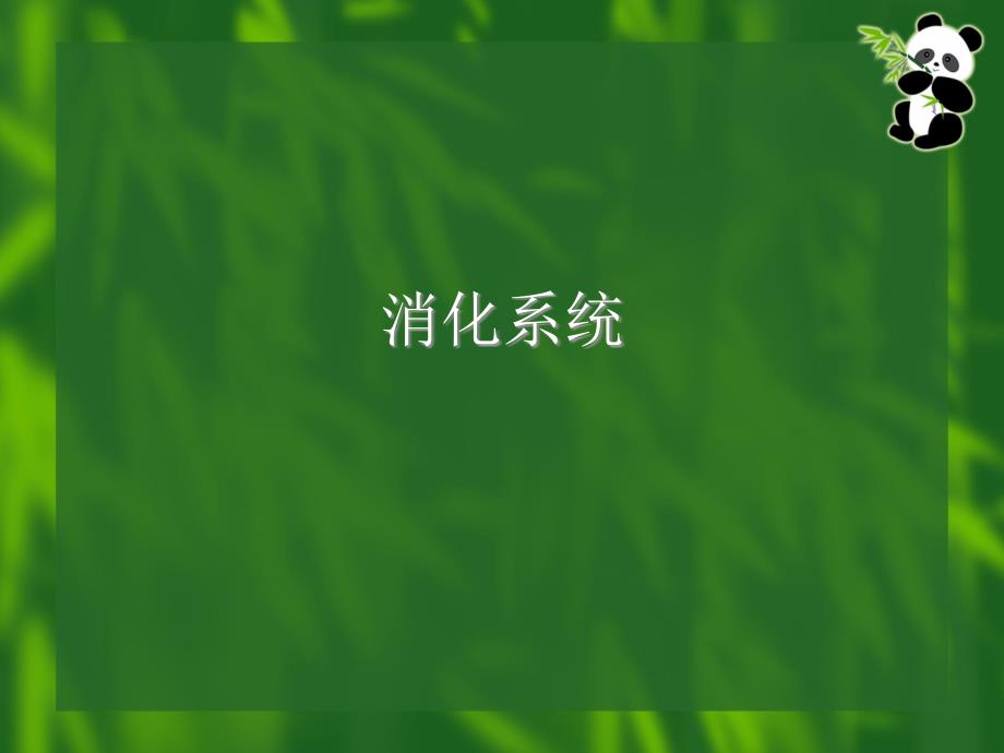小肠解剖及临床_第1页
