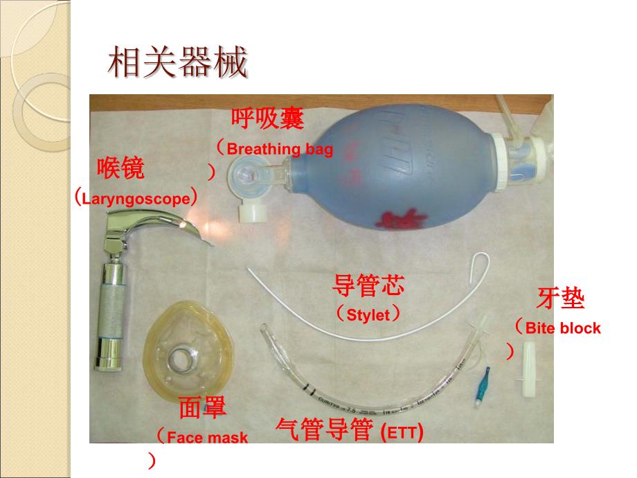 气管插管院内培训PPT课件_第3页