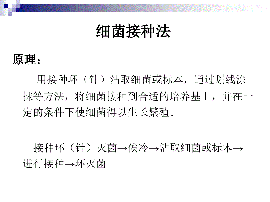 医学免疫学教学课件：实验二 细菌接种_第1页