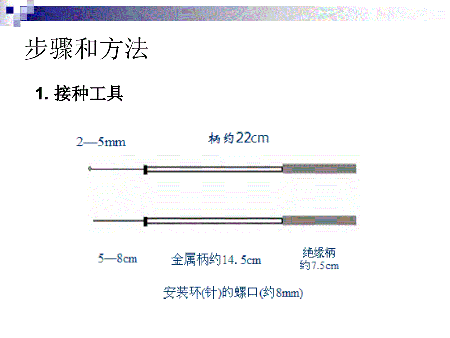 医学免疫学教学课件：实验二 细菌接种_第2页