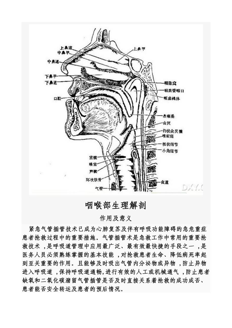 气管插管操作.doc_第2页