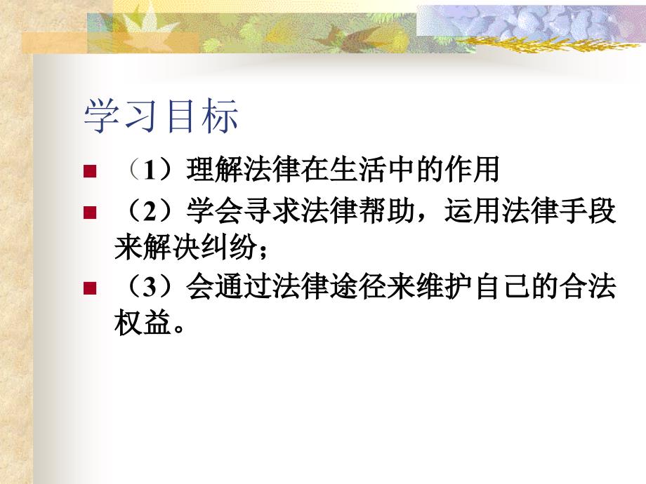 寻求法律保护_第4页