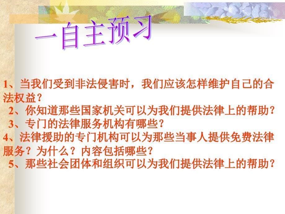 寻求法律保护_第5页