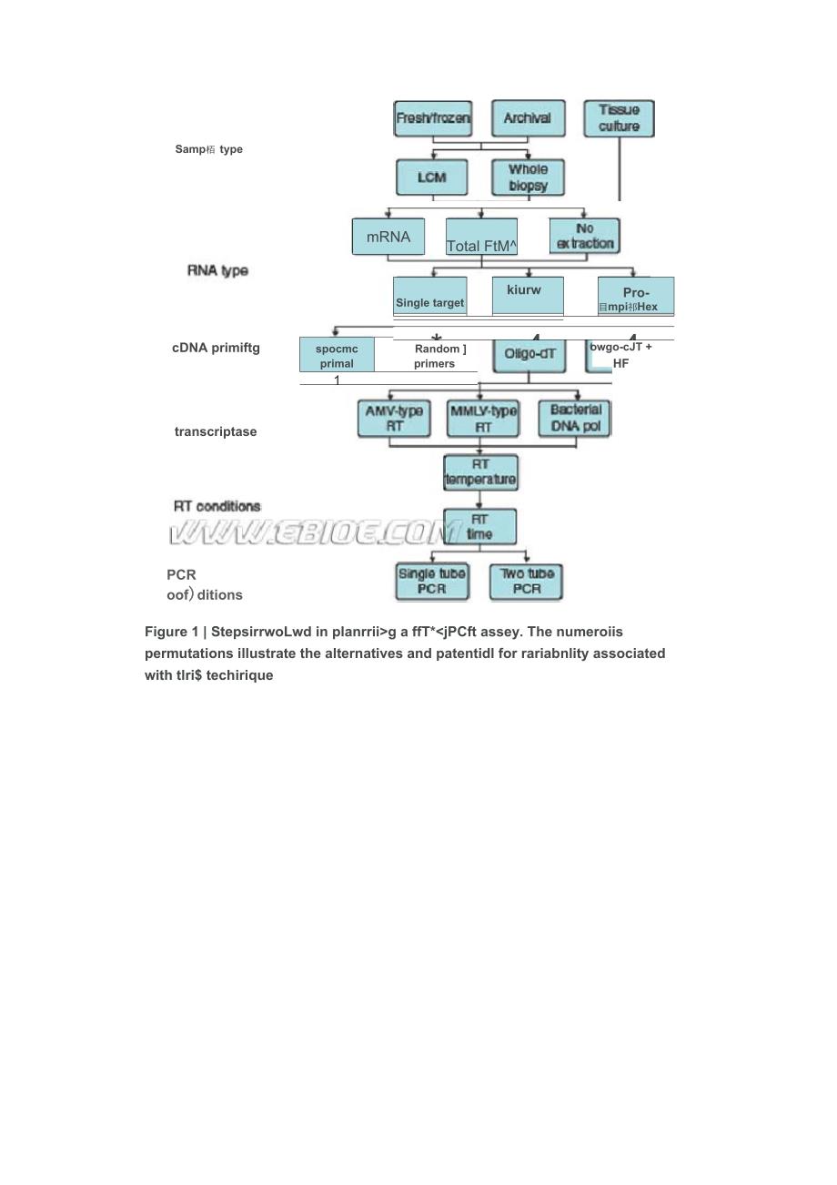 实时荧光定量PCR(RT_第2页