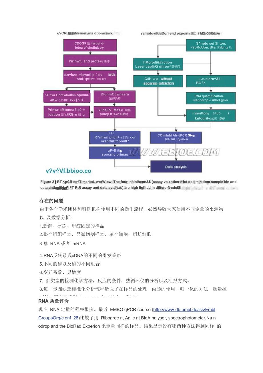 实时荧光定量PCR(RT_第3页