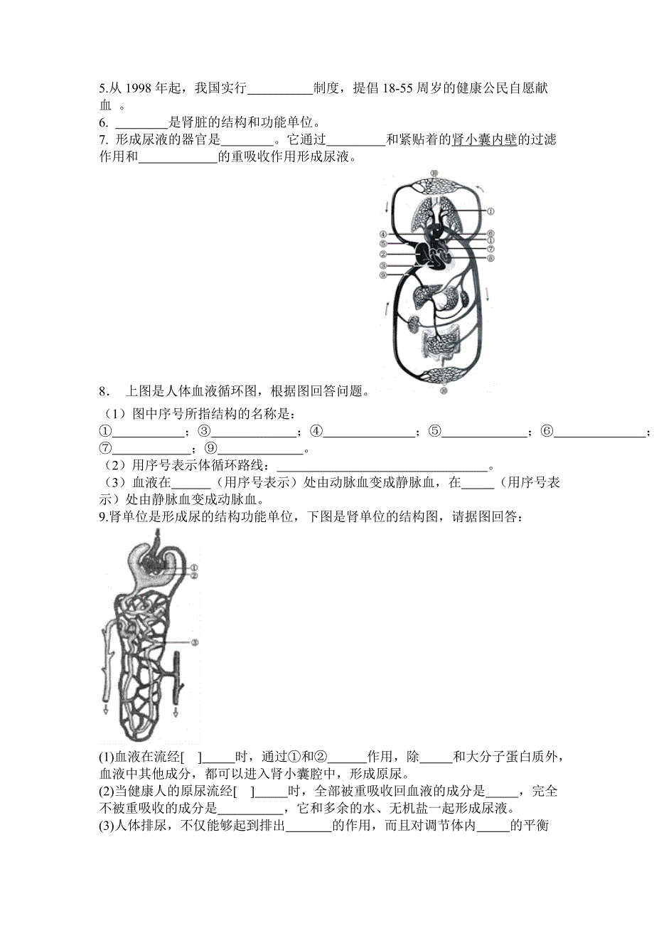 七下生物第四后、五章试题.doc_第2页