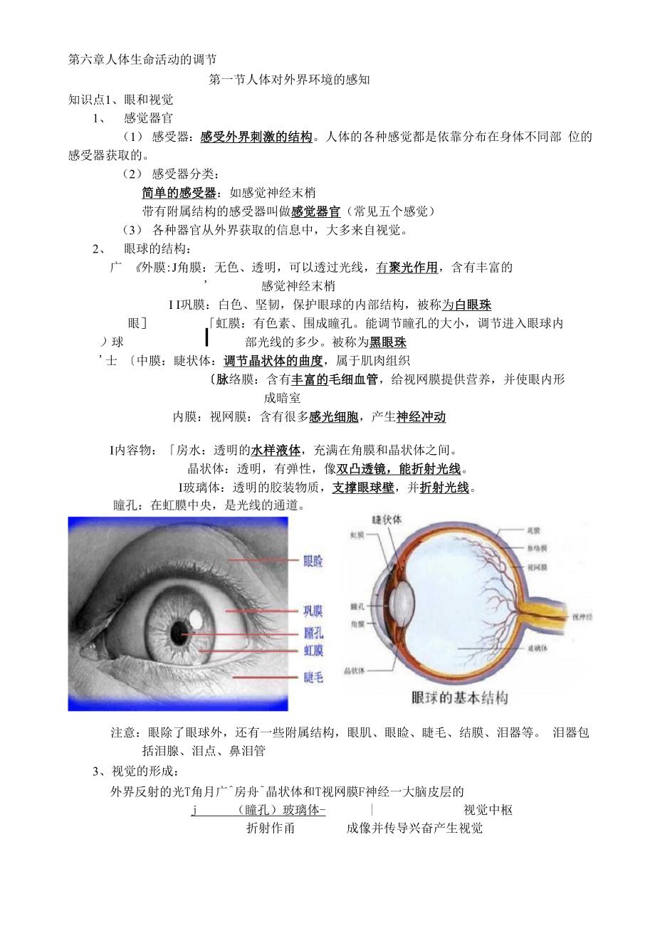 人体生命活动的调节知识点提纲_第1页