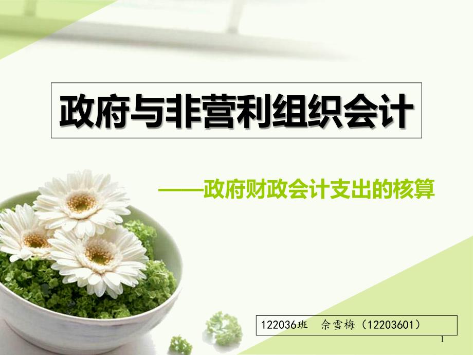政府与非营利组织会计_第1页