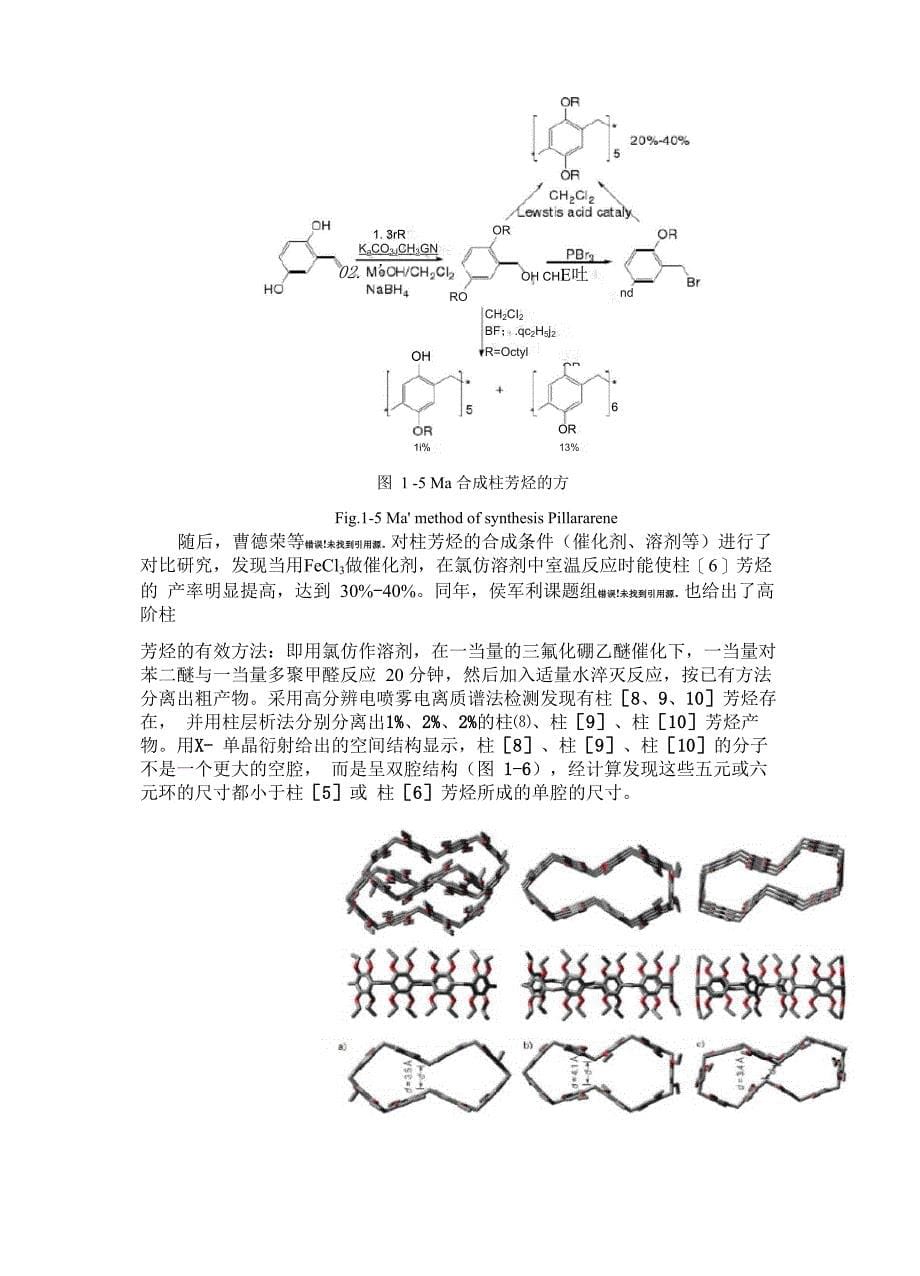 柱芳烃文献综述_第5页