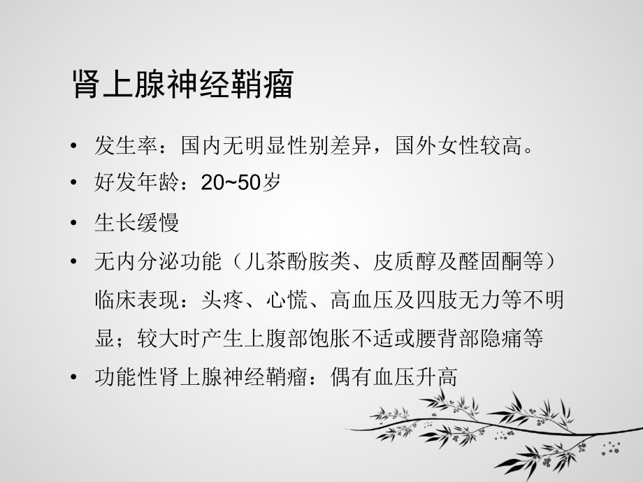 肾上腺神经鞘瘤的ct表现ppt课件.ppt_第4页