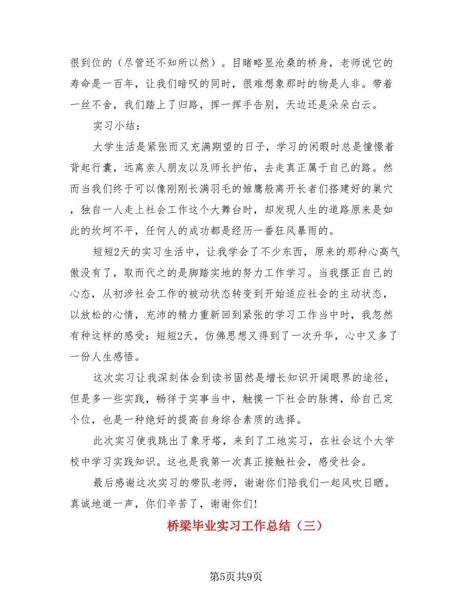 桥梁毕业实习工作总结.doc_第5页