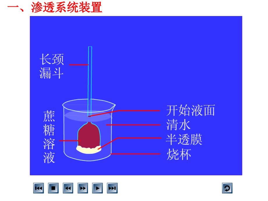 生物精华课件：物质跨膜运输的实例_第2页