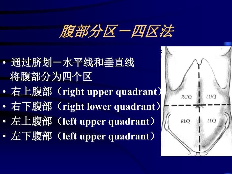 腹部检查Abdominalexamination_第5页