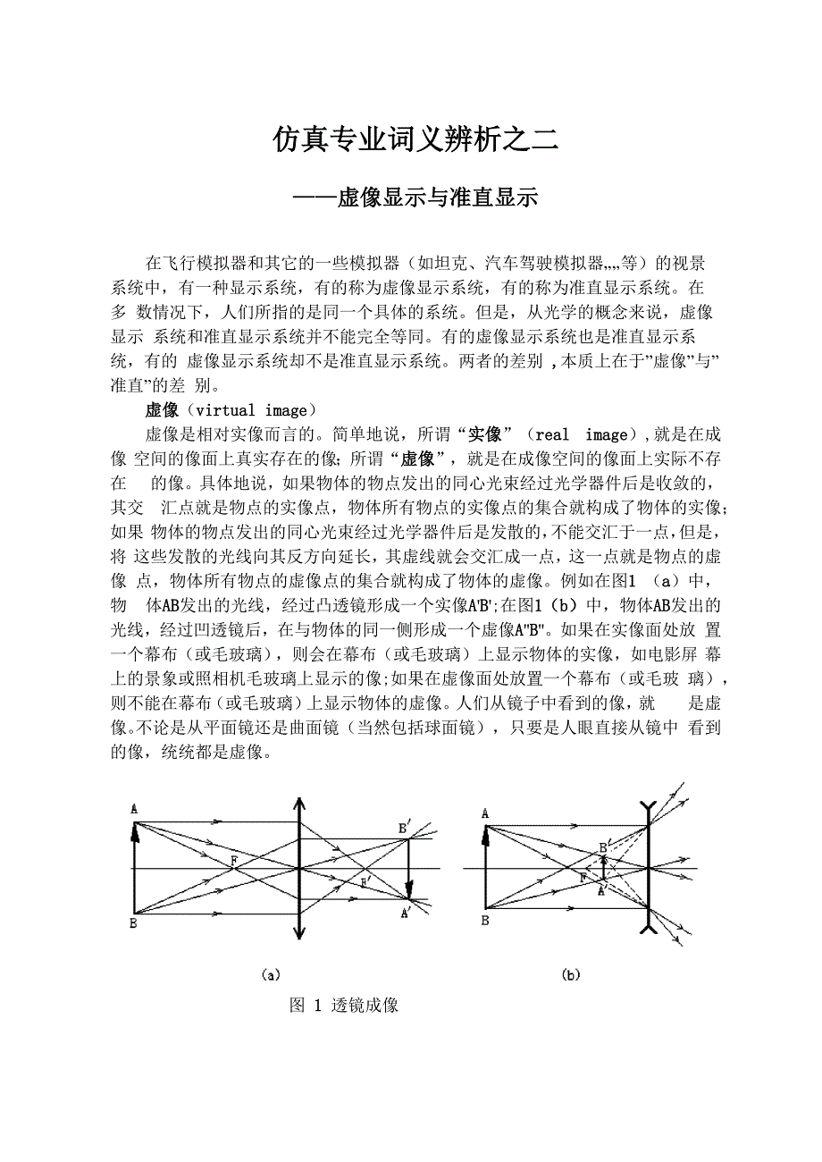 仿真专业词义辨析_第1页