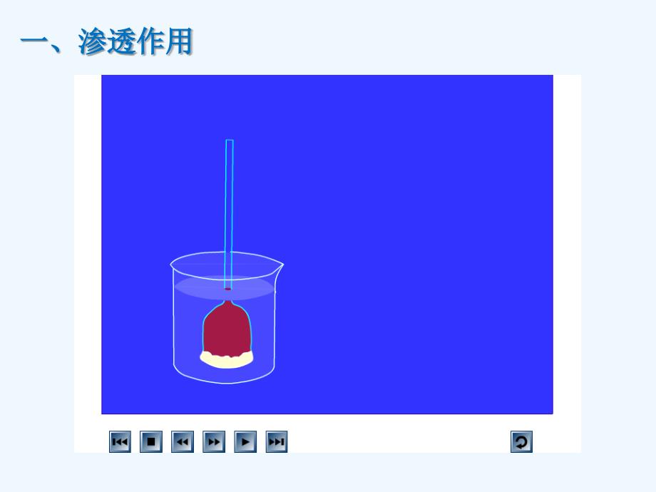 物质跨膜运输的实例 完整版_第3页