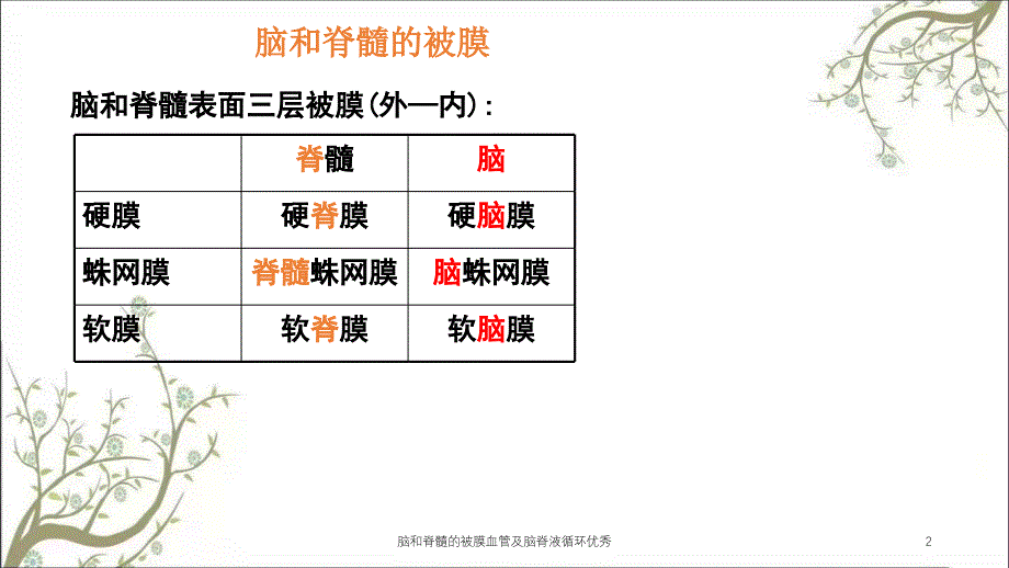 脑和脊髓的被膜血管及脑脊液循环优秀课件_第2页