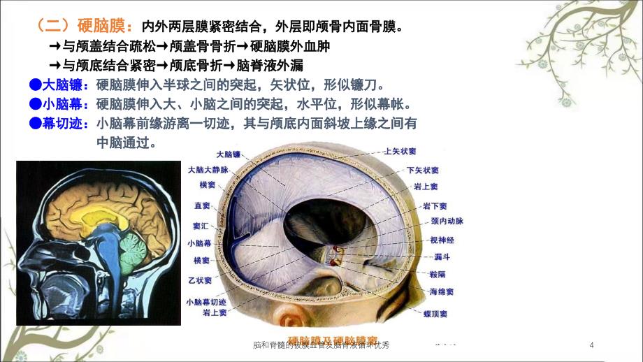 脑和脊髓的被膜血管及脑脊液循环优秀课件_第4页