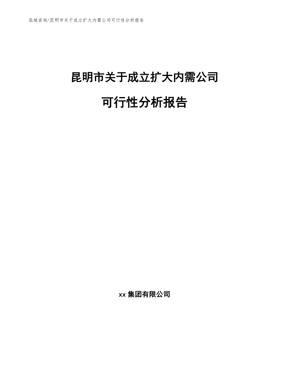 昆明市关于成立扩大内需公司可行性分析报告_范文_第1页