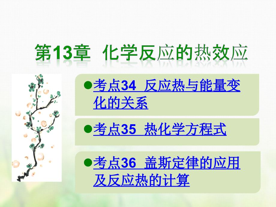 化学总第13章 化学反应的热效应_第1页