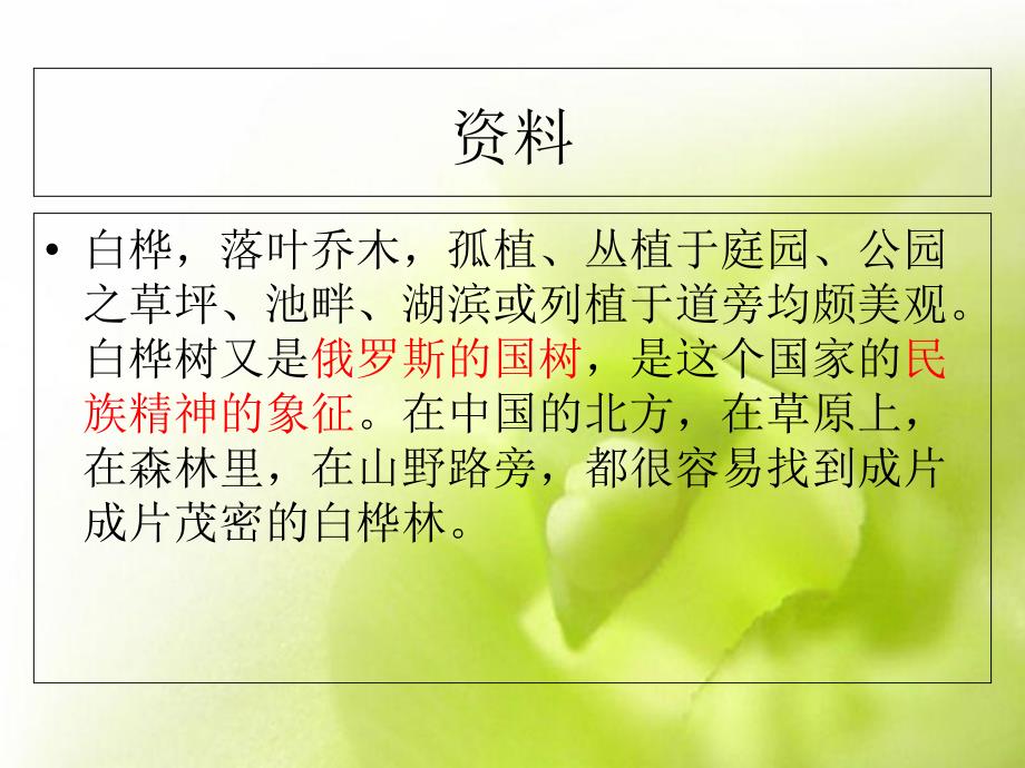 《白桦》ppt课件_第4页