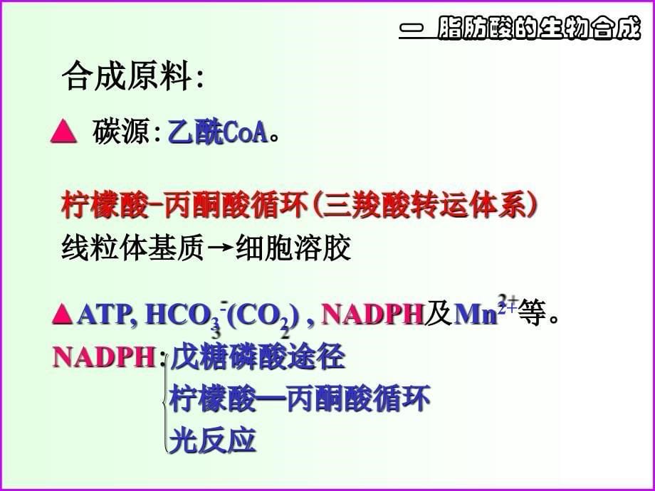 脂肪酸的生物合成及_第5页