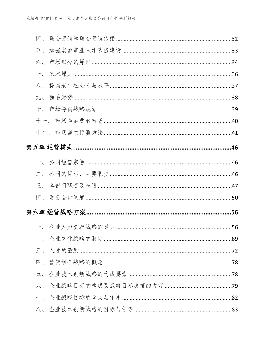 宜阳县关于成立老年人服务公司可行性分析报告_模板范本_第2页