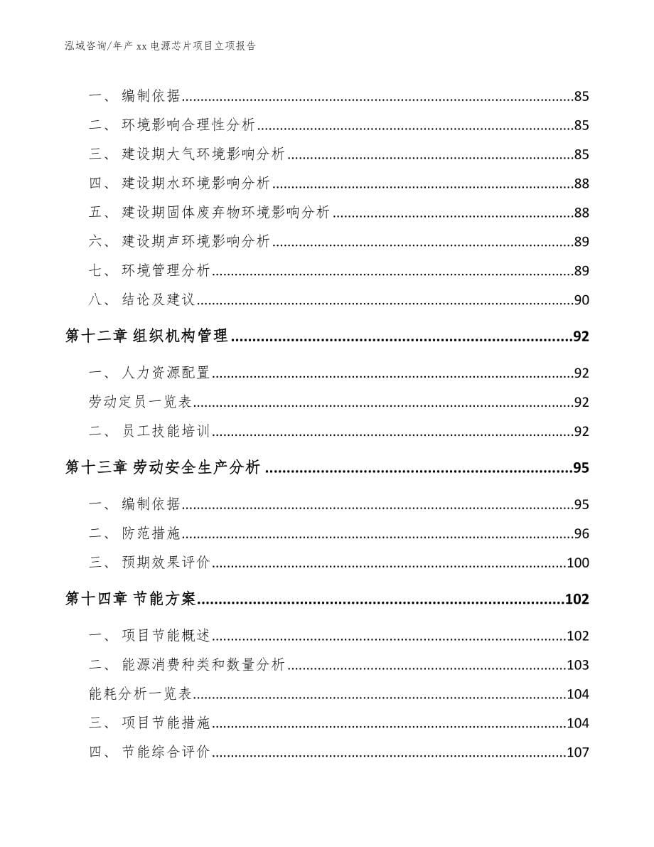 年产xx电源芯片项目立项报告【范文模板】_第5页