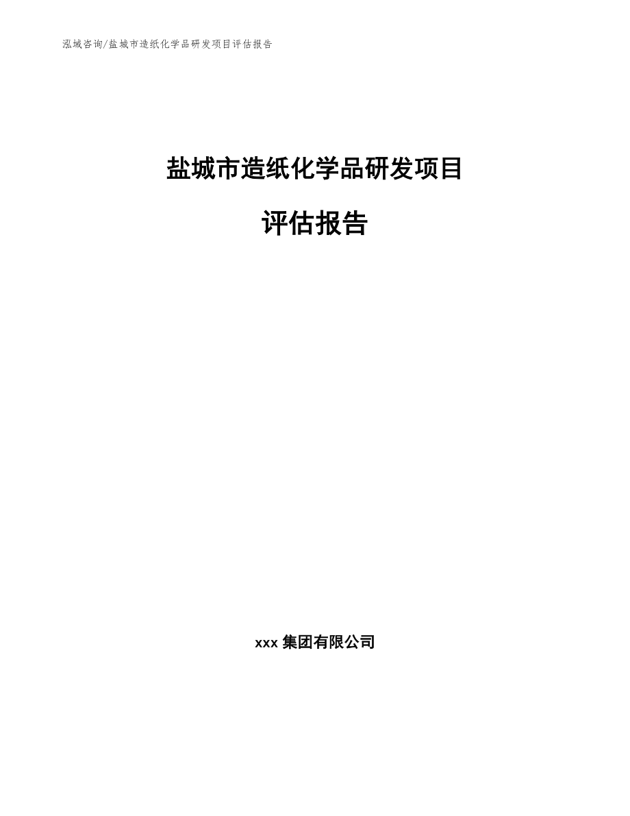 盐城市造纸化学品研发项目评估报告【参考范文】_第1页