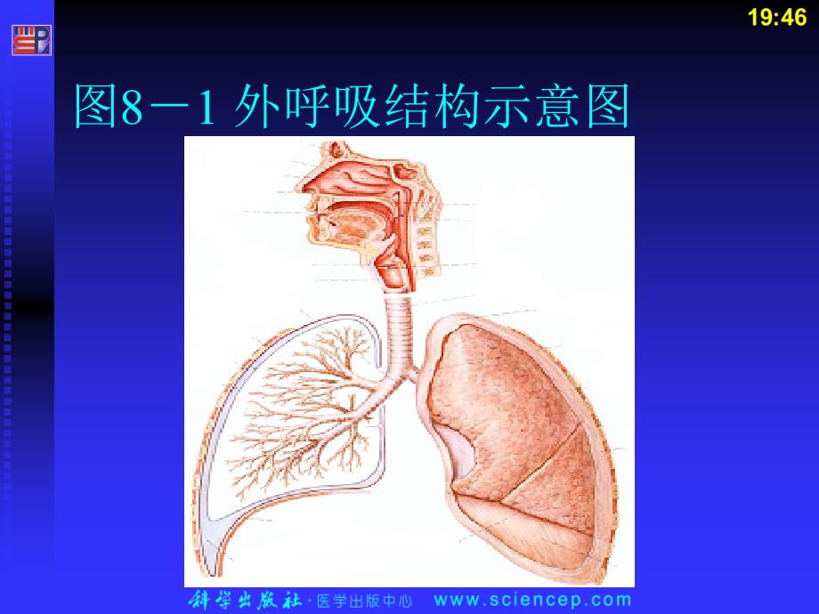 《病理心理学教学》PPT课件_第4页