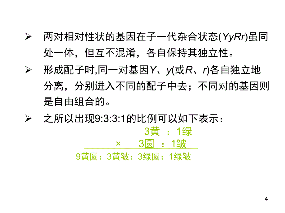 遗传与生物进化讲稿课件_第4页