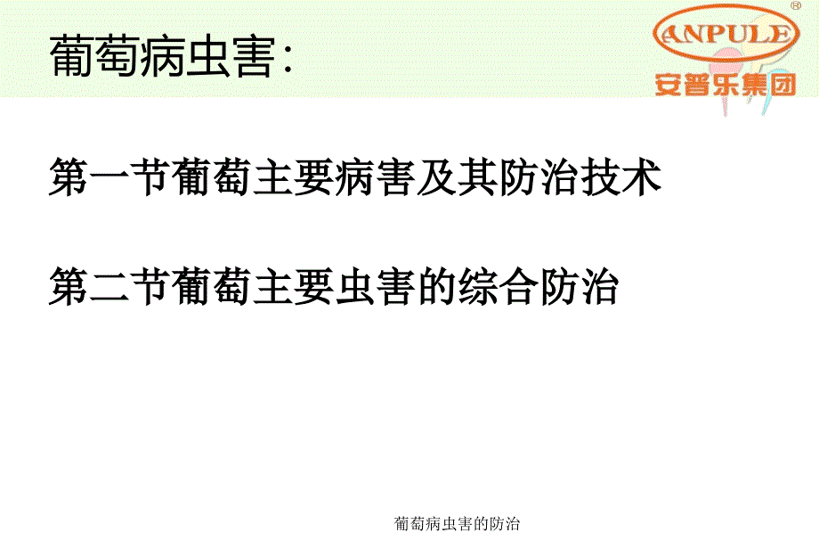 葡萄病虫害的防治课件_第2页