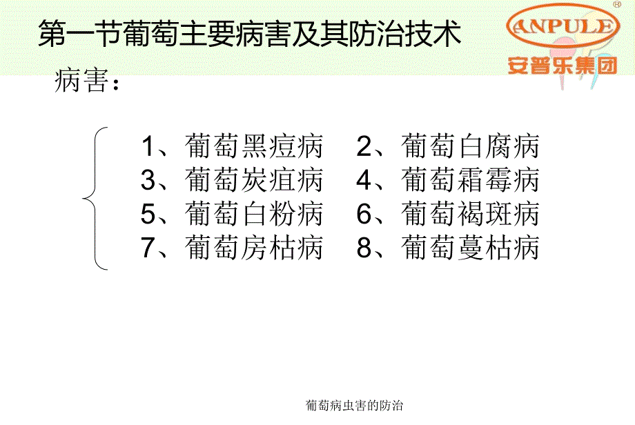 葡萄病虫害的防治课件_第3页