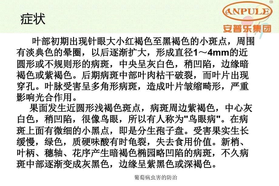 葡萄病虫害的防治课件_第5页