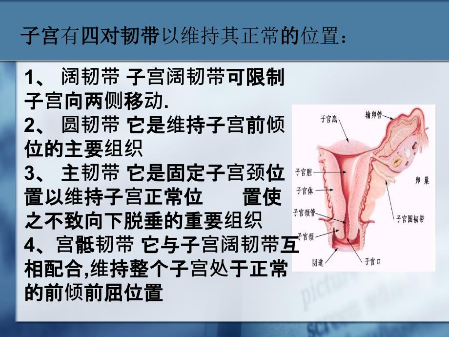 剖宫产手术课件_第4页