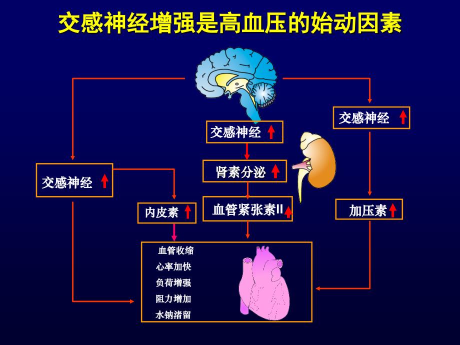 最新阿尔马尔心血管地位及降压疗效PPT文档_第3页