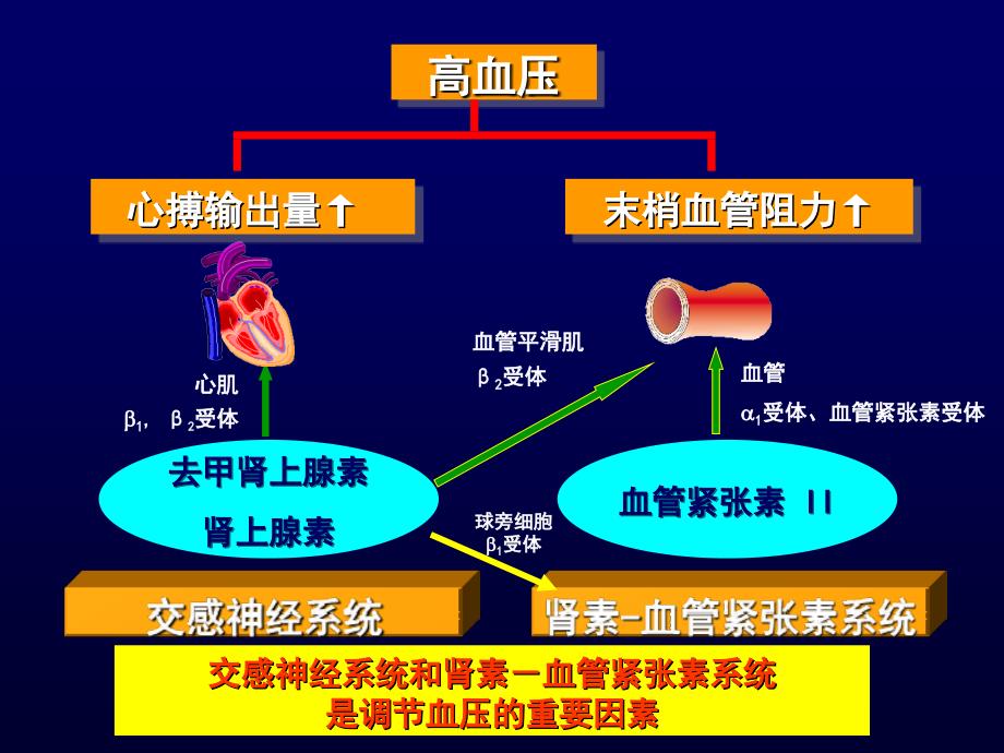 最新阿尔马尔心血管地位及降压疗效PPT文档_第4页