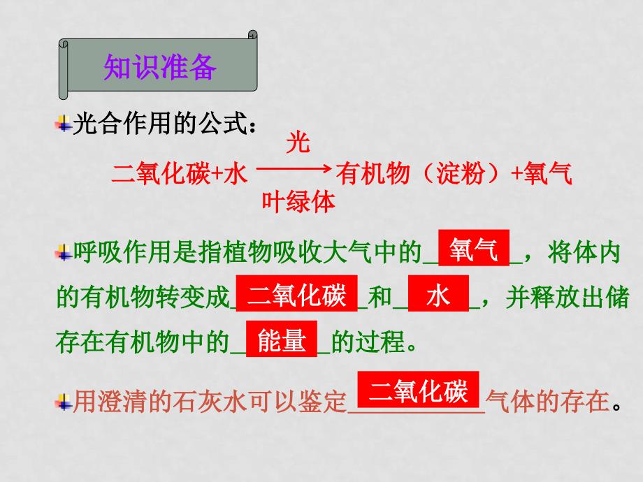 七年级生物上：第6章第四节 植物的呼吸作用 精品课件苏教版第四节 植物的呼吸作用_第3页