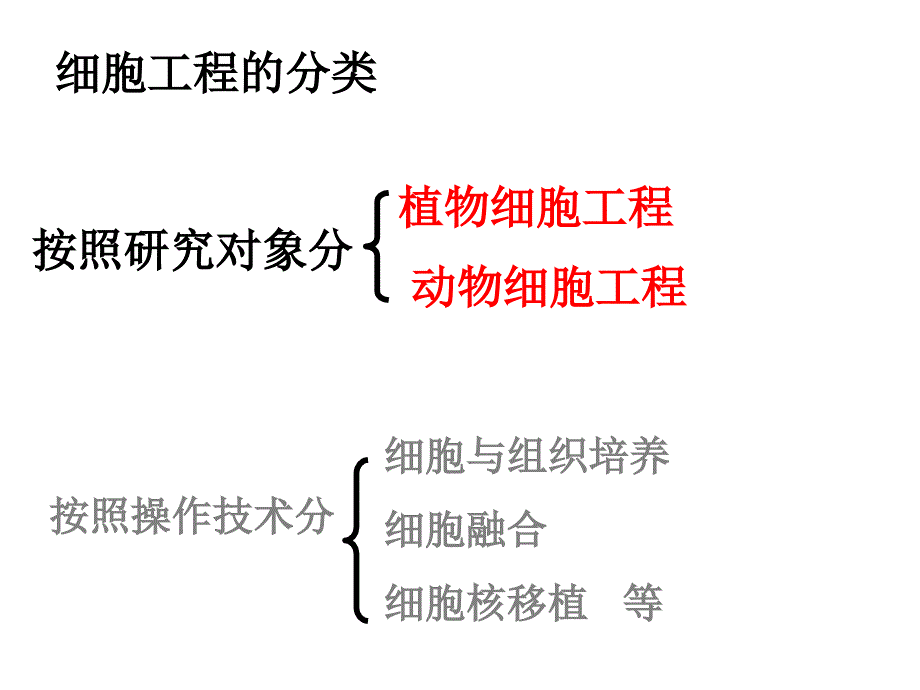 2.1.1植物细胞工程的基本技术人教版高中生物选修三课件共39张PPT_第4页