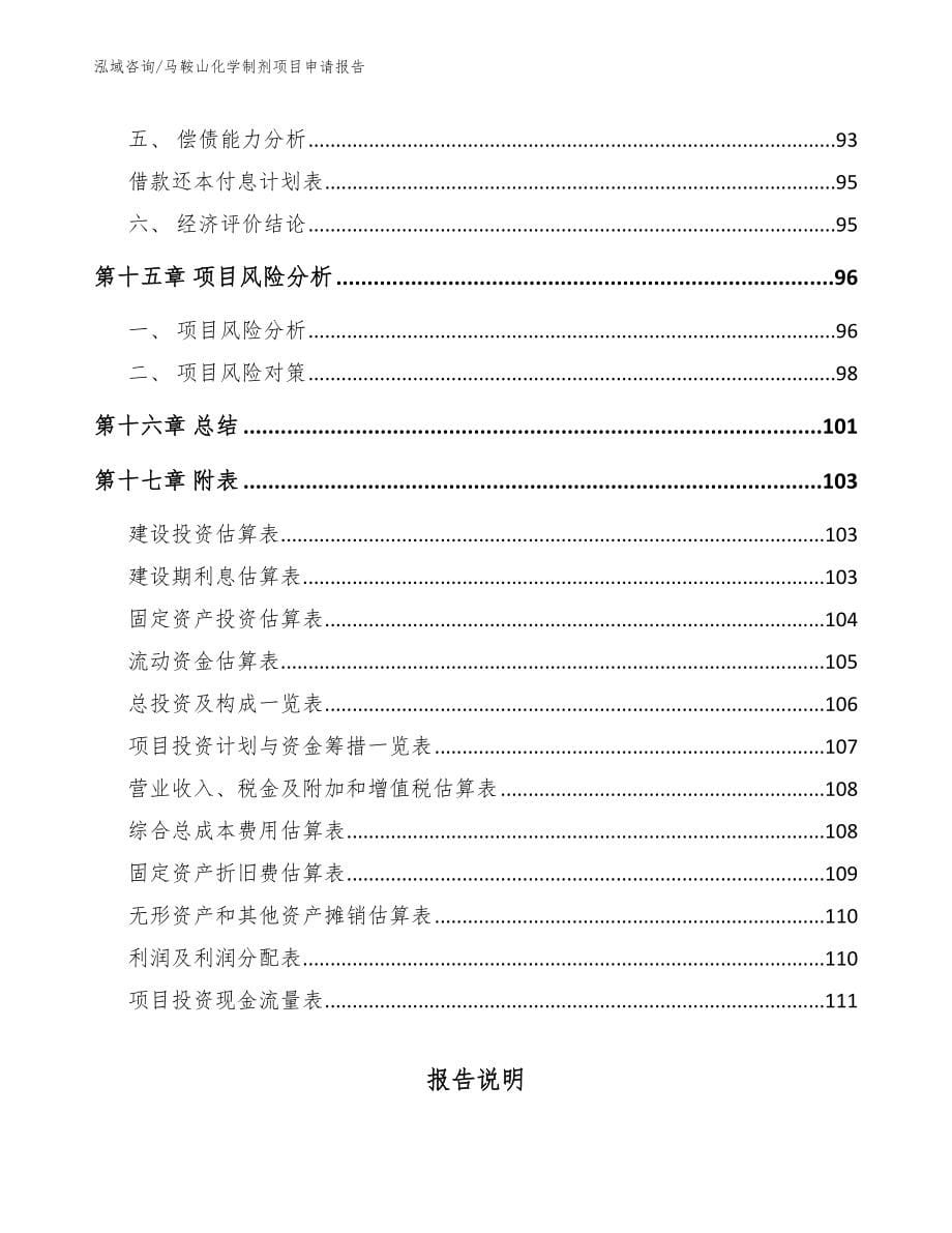 马鞍山化学制剂项目申请报告_第5页