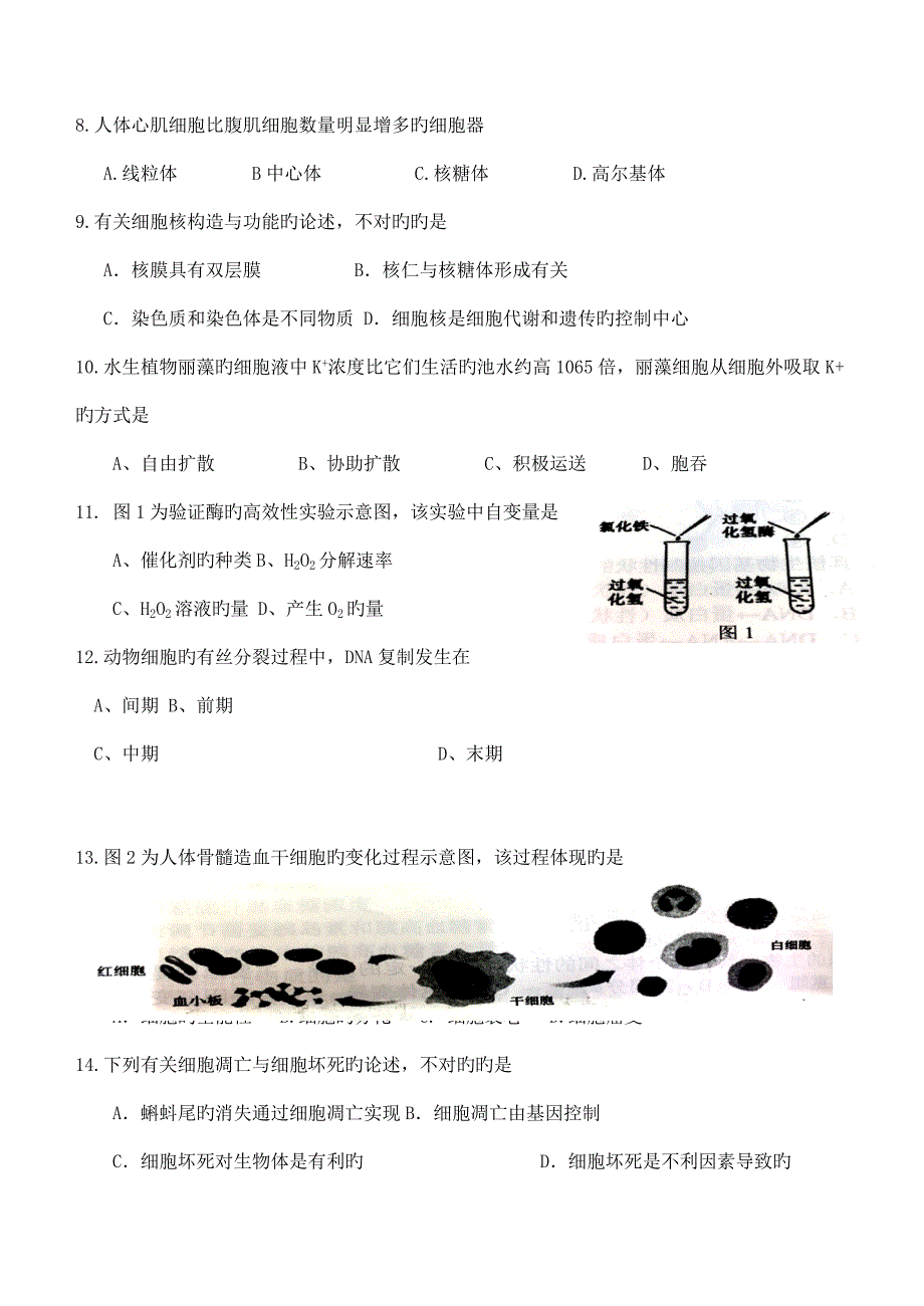 2022普通高中学业水平考试生物试卷档附答案_第2页