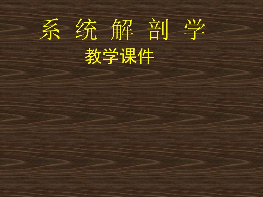 系统解剖绪论教学课件_第1页