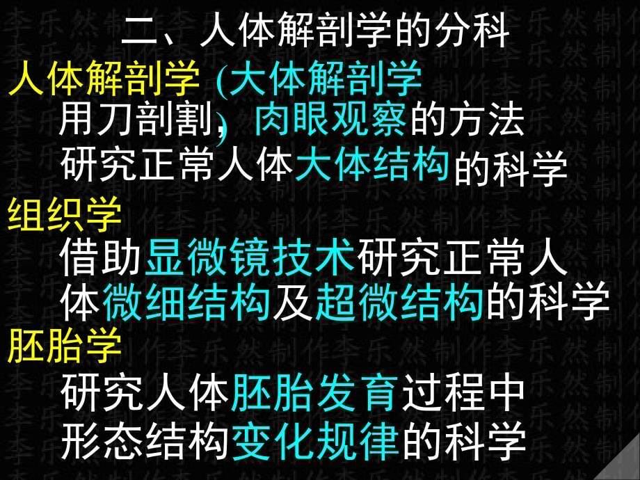 系统解剖绪论教学课件_第5页