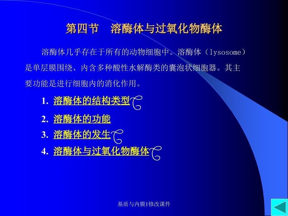 基质与内膜1修改课件_第5页