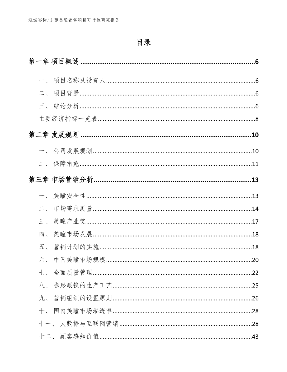 东莞美瞳销售项目可行性研究报告_第2页