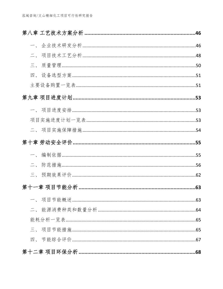 文山精细化工项目可行性研究报告_参考范文_第5页