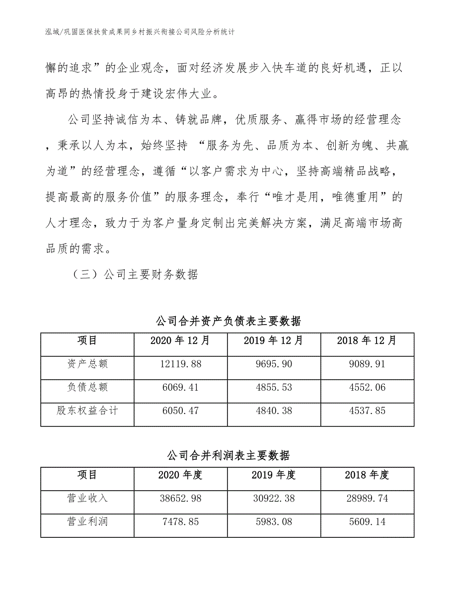 巩固医保扶贫成果同乡村振兴衔接公司风险分析统计_第3页